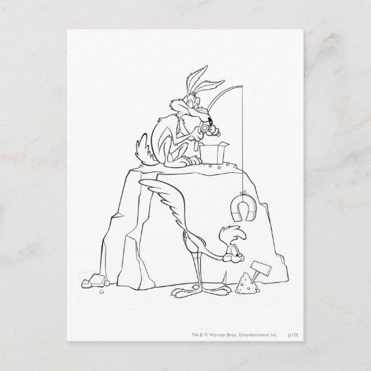 WILE E. COYOTE™ en ROAD RUNNER™ Acme Producten Briefkaart (Voorkant)