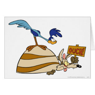 WILE E. COYOTE™ en ROAD RUNNER™ Boulder