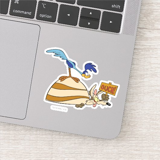WILE E. COYOTE™ en ROAD RUNNER™ Boulder Sticker (Detail)