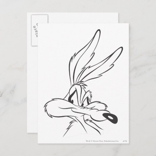 WILE E. COYOTE™ Expressive 7 Briefkaart (Voorkant / Achterkant)