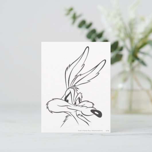 WILE E. COYOTE™ Expressive 7 Briefkaart (Staand voorkant)