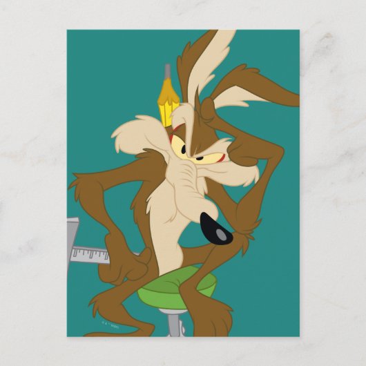 WILE E. COYOTE™ Plannen Briefkaart (Voorkant)