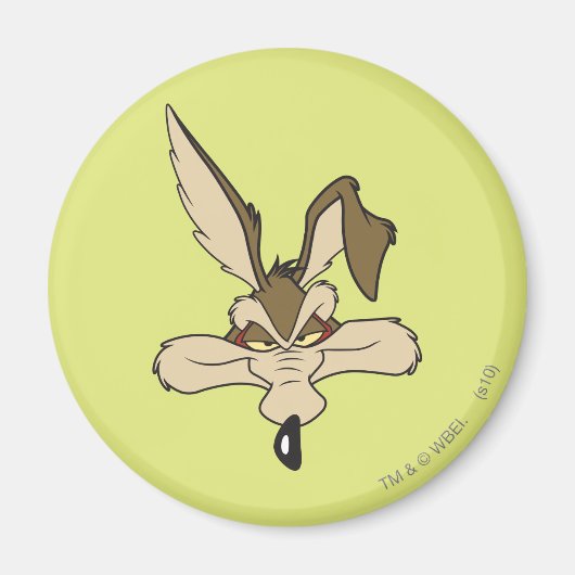 Wile E. Coyote Pleite Head Shot Magneet (Voorkant)