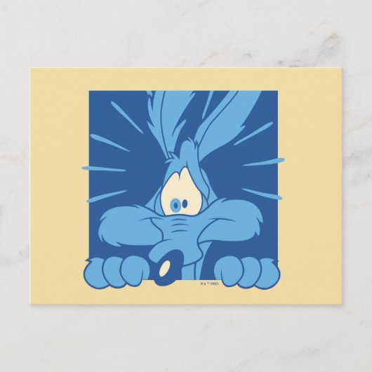 WILE E. COYOTE™ Shocked Expression Briefkaart (Voorkant)