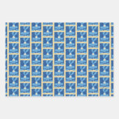 WILE E. COYOTE™ Shocked Expression Inpakpapier Vel (Voorkant)