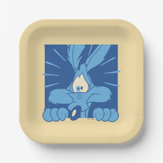 WILE E. COYOTE™ Shocked Expression Papieren Bordje (Voorkant)