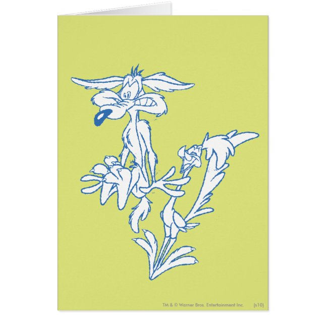 WILE E. COYOTE™ Verrast door de ROAD RUNNER™ (Voorkant)