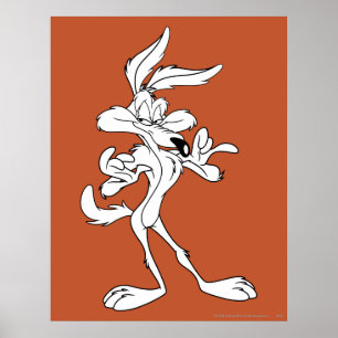 Wile E. Coyote ziet er goed uit Poster