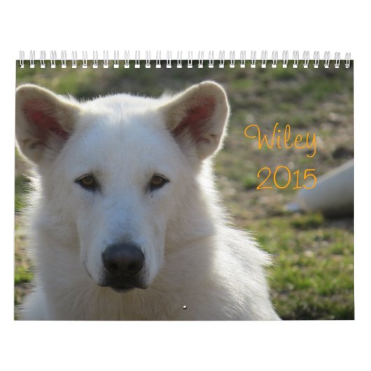 Wiley Calendar Kalender (Hoes)