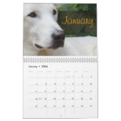 Wiley Calendar Kalender (Jan 2026)