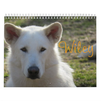 Wiley Calendar Kalender