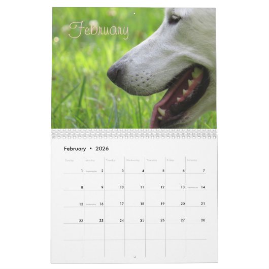 Wiley Calendar Kalender (Feb 2026)