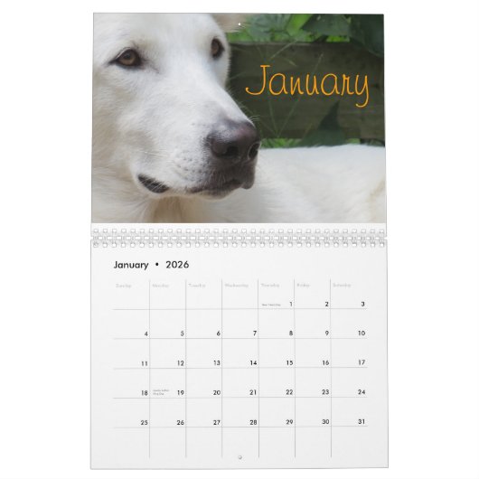 Wiley Calendar Kalender (Jan 2026)