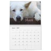 Wiley Calendar Kalender (Mar 2027)