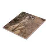 Wilfadieren van Cute African Meerkat Tegeltje (Zijkant)