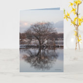 Wilg als Boom van de Wereld Kaart (Gele Bloem)