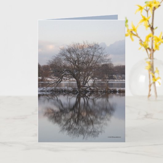 Wilg als Boom van de Wereld Kaart (Gele Bloem)