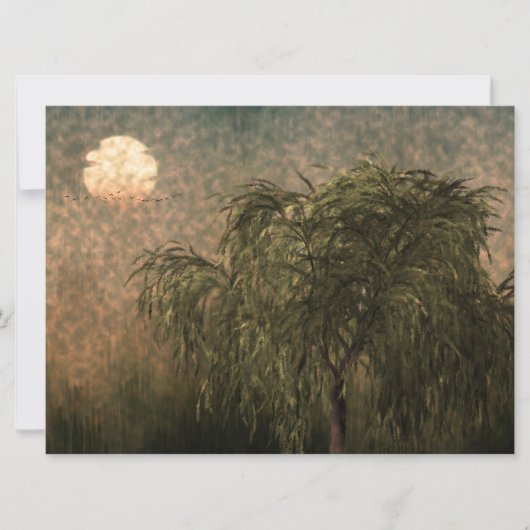 Wilg bij zonsondergang (Voorkant)