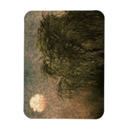 Wilg bij zonsondergang magneet