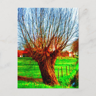 wilg in het traditionele Vlaamse landschap Briefkaart