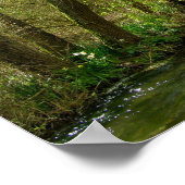 Wilg op de rivier Test Poster (Hoek)