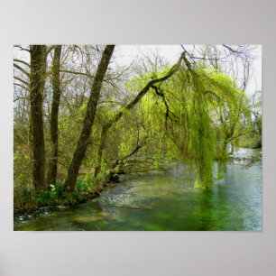Wilg op de rivier Test Poster
