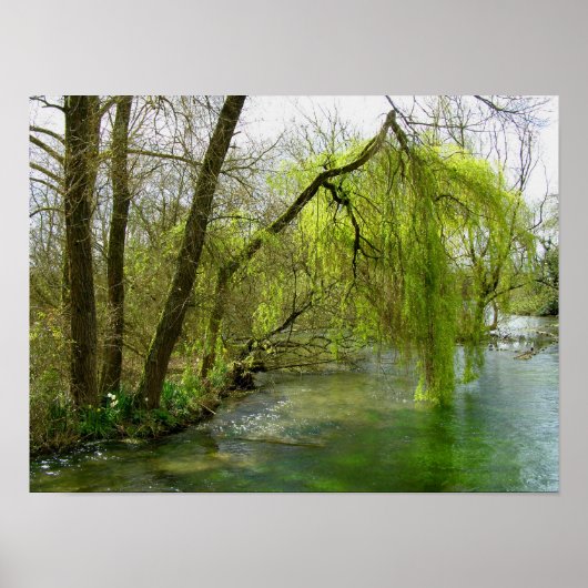 Wilg op de rivier Test Poster (Voorkant)