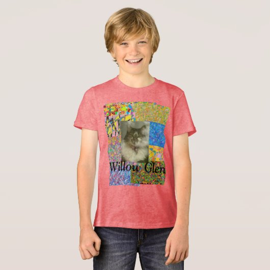 Wilgen dal patchwork en kat Tri-Blend shirt (Voorkant volledig)