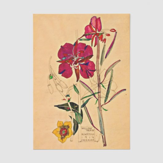 Wilgenroosje door Charles Mackintosh Tissuepapier (Voorkant)