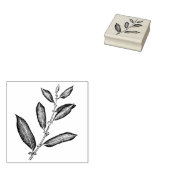 wilgentak rubberstempel (Gestempeld)