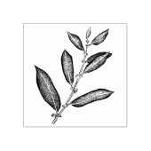 wilgentak rubberstempel (Afrduk)