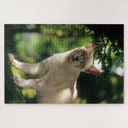 Wilham. Legpuzzel (Horizontaal)