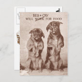 Will Beg & Cry for Food Briefkaart (Voorkant / Achterkant)