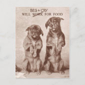Will Beg & Cry for Food Briefkaart (Voorkant)
