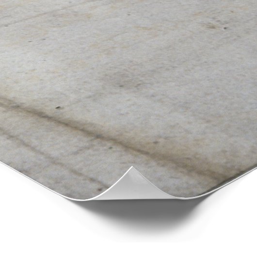 Will of Admiral Lord Nelson Poster (Hoek)