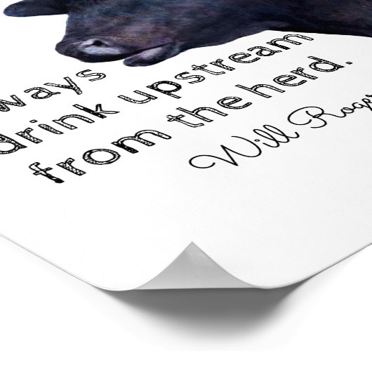 Will Rogers beroemd citeert poster met zwarte koe (Hoek)