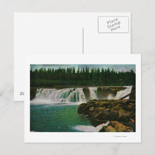 Willamette-Herfsten in Portland Briefkaart (Voorkant / Achterkant)