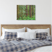 Willamette National Forest | Oregon Canvas Afdruk (Insitu (Slaapkamer))