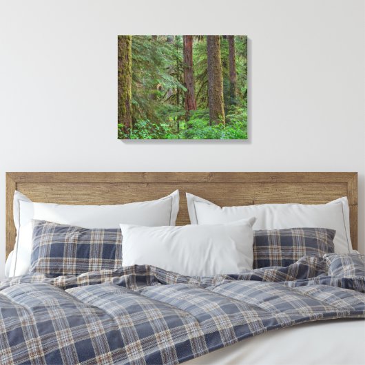 Willamette National Forest | Oregon Canvas Afdruk (Insitu (Slaapkamer))