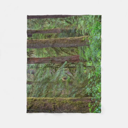 Willamette National Forest | Oregon Fleece Deken (Voorkant)