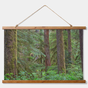 Willamette National Forest   Oregon Hangend Wandkleed