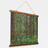 Willamette National Forest | Oregon Hangend Wandkleed (Gebogen)