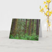 Willamette National Forest | Oregon Kaart (Gele Bloem)