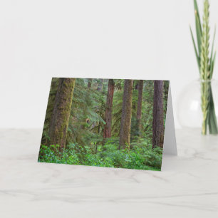 Willamette National Forest   Oregon Kaart