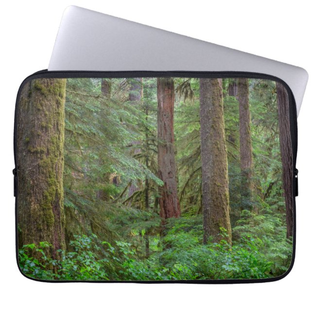 Willamette National Forest | Oregon Laptop Sleeve (Voorkant)
