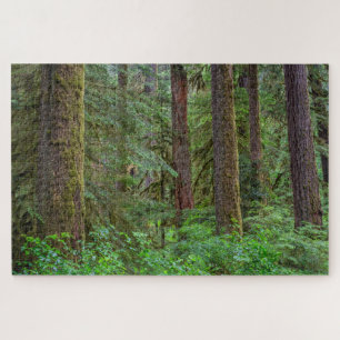 Willamette National Forest   Oregon Legpuzzel
