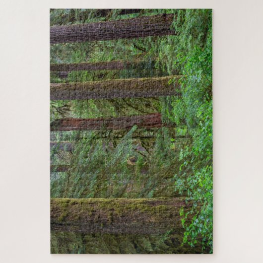 Willamette National Forest | Oregon Legpuzzel (Verticaal)