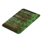 Willamette National Forest | Oregon Magneet (Linkerzijde)