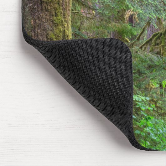 Willamette National Forest | Oregon Muismat (Hoek)