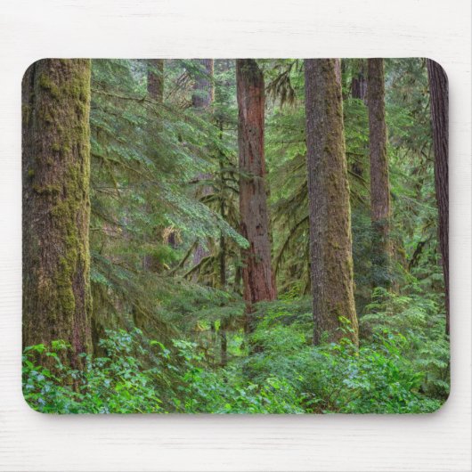 Willamette National Forest | Oregon Muismat (Voorkant)